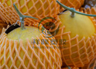 Vỏ trái cây xốp mềm, bọc bọt cho trái cây thân thiện với môi trường